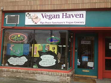 Vegan Haven